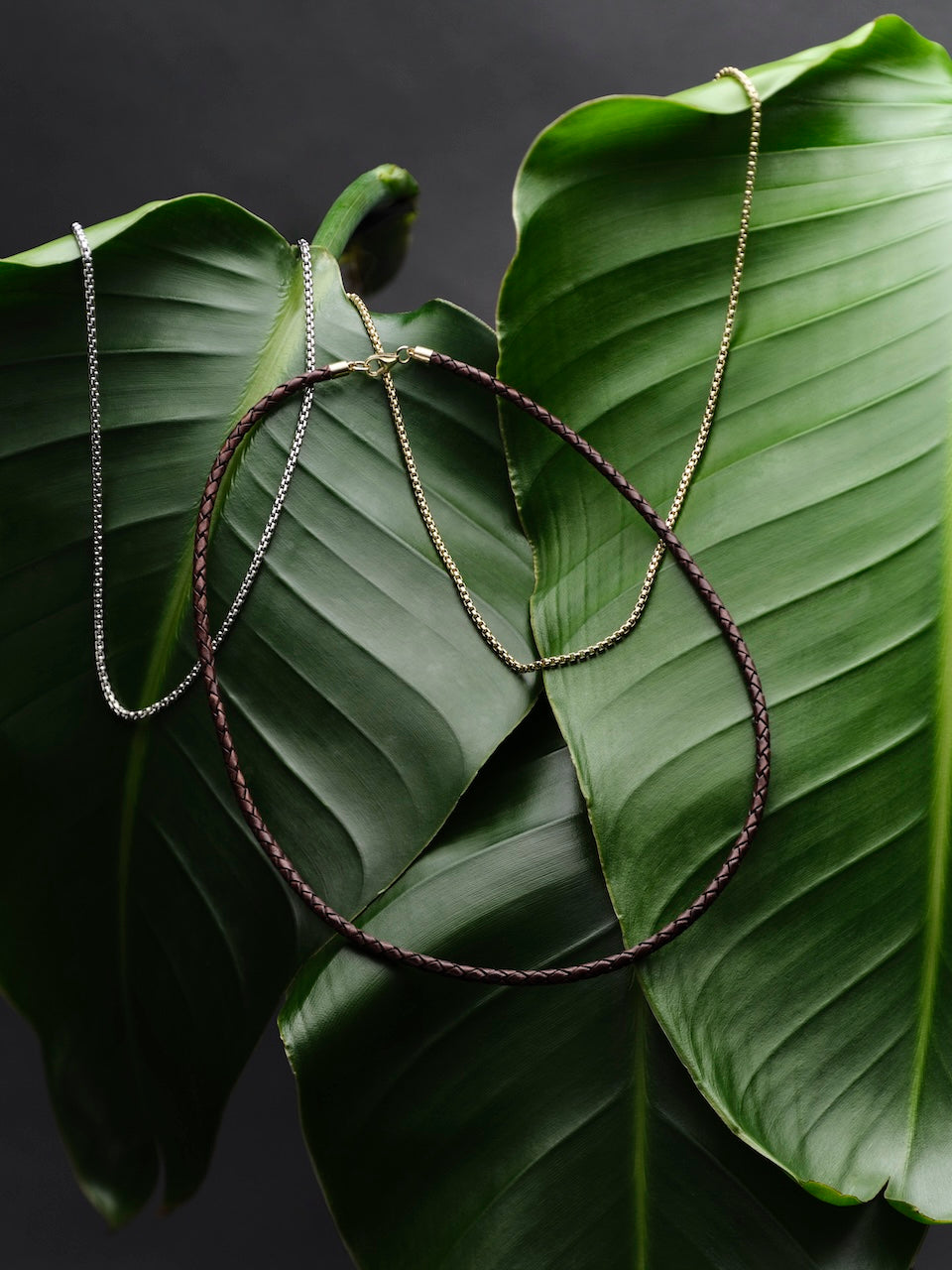 Three men's necklaces on a large green leaves with a dark background: one silver and one gold box chain and one braided leather necklace